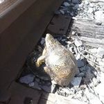 eric clemens - @clemenswhy41 - Instagram