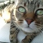 Eric Coeurdoux - @ericcoeurdoux - Instagram