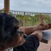 Eric Cohen - Facebook