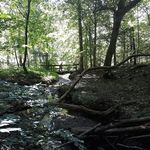Eric Colvin - @eric.colvin.79656 - Instagram