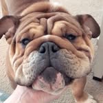 Eric Compton - @rubble.onthe.double - Instagram