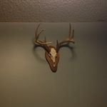 Eric Comstock - @comstockeric - Instagram