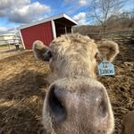 Eric Condon - @eric_condon_ - Instagram