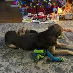 Eric Conklin - Facebook