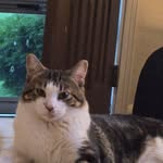 Eric Conklin - @e.conklin - Instagram