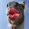 Eric Connor - @eric.connor8 - TikTok