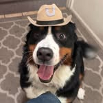 Eric Cornwall - @st1ckyricky - Instagram