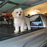 Eric Corona - @eric.corona08 - Instagram