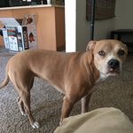 Eric Corrado - @e_corrado - Instagram