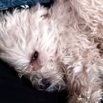 eric corti - @corti_eric - Instagram