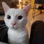 Eric Cortright - @bearwalterbrendabellamosely - Instagram