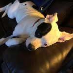 Eric Cortright - @ejcortright - Instagram
