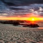 Eric Cosmos - @cosmos492 - Instagram
