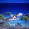 Eric Coussy - @eric.coussy - TikTok
