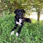Eric Costigan - @runchman74 - Instagram