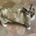 Eric Cottrill - @ericcottrill - Instagram