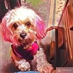 Eric Council - @councileric - Instagram