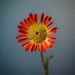 Eric Cover - @ericcover657867 - Instagram
