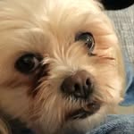 Eric Coverdale - @ericcoverdale_ - Instagram
