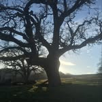 Eric Cowdery - @escrscmdc - Instagram