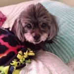 Eric Crain - @crain5610 - Instagram