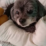 Eric Crain - @ericcrain755 - Instagram