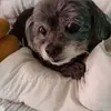 Eric Crain - @eric.crain6 - TikTok