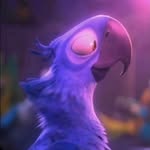 Eric Cramer - @eric_cramer_997 - Instagram