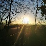 Eric Crosby - @ezcros - Instagram