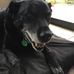Eric Crosby - Facebook