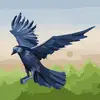 ericcrowe6 - @ericcrowe6 - TikTok