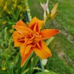 Eric Cunningham - @cunningham__kol - Instagram