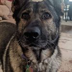 Eric Cushman - @ericcushman - Instagram