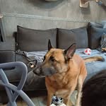 Eric Custers - @eric.custers - Instagram