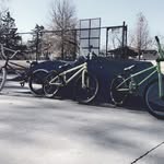 Eric, Joey, Cypress - @thetridentlayers - Instagram