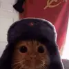 eric_czech - @eric_czech - TikTok