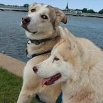 Eric Daigle - @eric.daigle.353 - Instagram