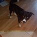 Eric Dailey - Facebook