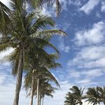 Eric Dailey - @ericndailey - Instagram