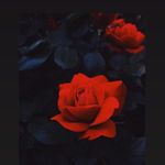 Eric Dale - @ericmusic07 - Instagram