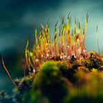 Eric Dalele Photography - @ericdalele - Instagram