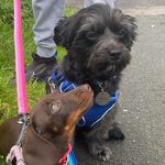 Eric and Darcy - @eric_and_darcy - Instagram