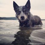 Eric Darcy - @ehd1328 - Instagram