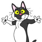 Eric D’Arcy - @crazycat_adventures - Instagram