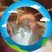 Eric Darcy - Facebook