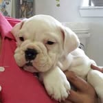 Darrell s. Eric - @eric.darrell.39142 - Instagram