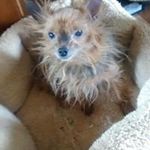 Eric Davey - @edavey.new - Instagram