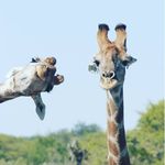Eric Davey - @erickdavey - Instagram