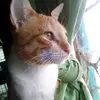 Johndc - @ericdcruz_ - TikTok