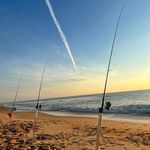 Eric Deane - @eric.deane - Instagram